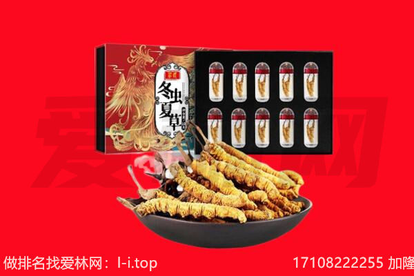 上海徐汇区回收虫草.jpg